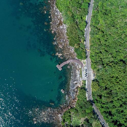  دنیای گوهیه میدونی اینجا دور دور گل خودیه میدونی